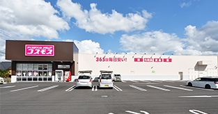 豊岡中陰店　コスモス