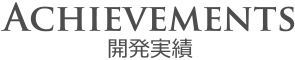開発実績